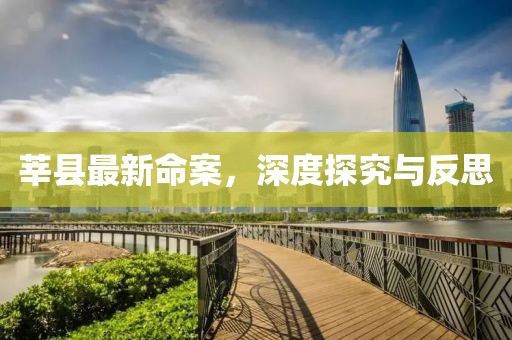 莘县最新命案，深度探究与反思