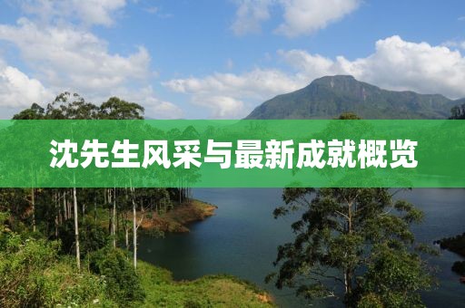 沈先生风采与最新成就概览