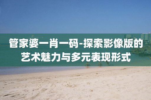管家婆一肖一码-探索影像版的艺术魅力与多元表现形式