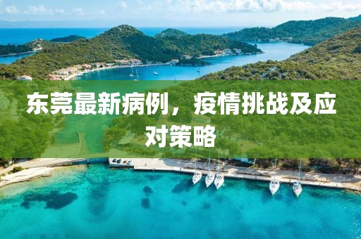 东莞最新病例，疫情挑战及应对策略