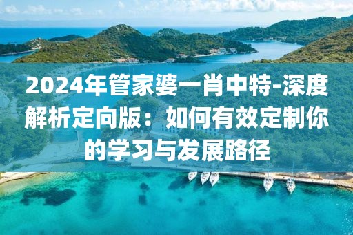 2024年管家婆一肖中特-深度解析定向版：如何有效定制你的学习与发展路径