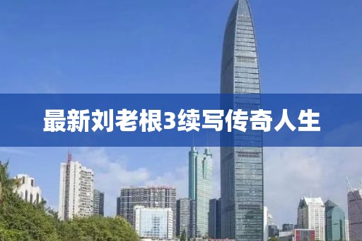 最新刘老根3续写传奇人生