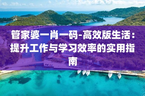 管家婆一肖一码-高效版生活：提升工作与学习效率的实用指南