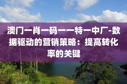 澳门一肖一码一一特一中厂-数据驱动的营销策略：提高转化率的关键