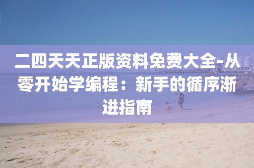 二四天天正版资料免费大全-从零开始学编程：新手的循序渐进指南