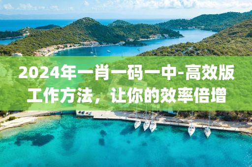 2024年一肖一码一中-高效版工作方法，让你的效率倍增