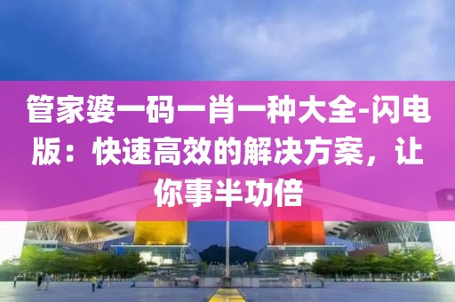 管家婆一码一肖一种大全-闪电版：快速高效的解决方案，让你事半功倍