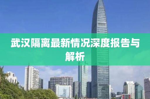 武汉隔离最新情况深度报告与解析