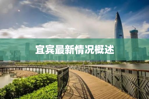 宜宾最新情况概述