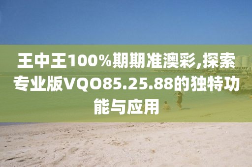 王中王100%期期准澳彩,探索专业版VQO85.25.88的独特功能与应用