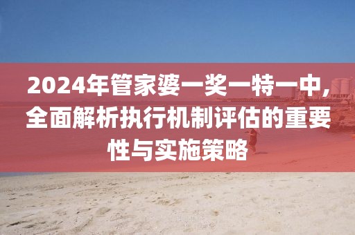 2024年管家婆一奖一特一中,全面解析执行机制评估的重要性与实施策略