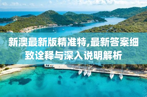 新澳最新版精准特,最新答案细致诠释与深入说明解析