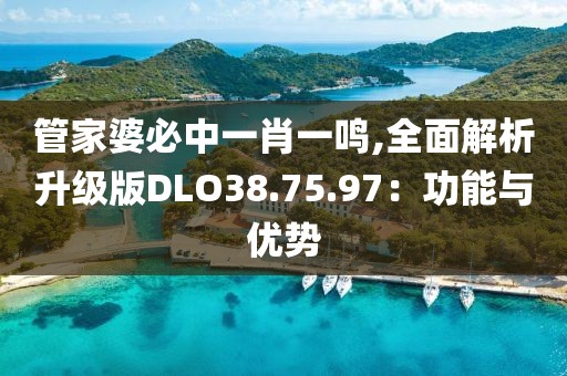 管家婆必中一肖一鸣,全面解析升级版DLO38.75.97：功能与优势