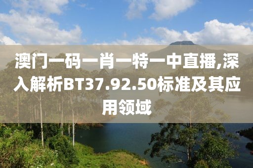 澳门一码一肖一特一中直播,深入解析BT37.92.50标准及其应用领域
