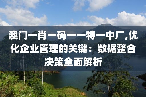 澳门一肖一码一一特一中厂,优化企业管理的关键：数据整合决策全面解析