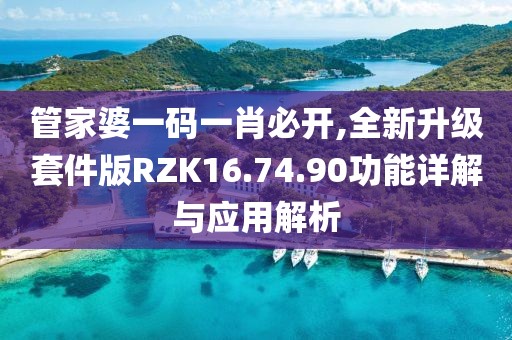 管家婆一码一肖必开,全新升级套件版RZK16.74.90功能详解与应用解析