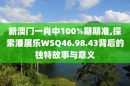 新澳门一肖中100%期期准,探索潘展乐WSQ46.98.43背后的独特故事与意义