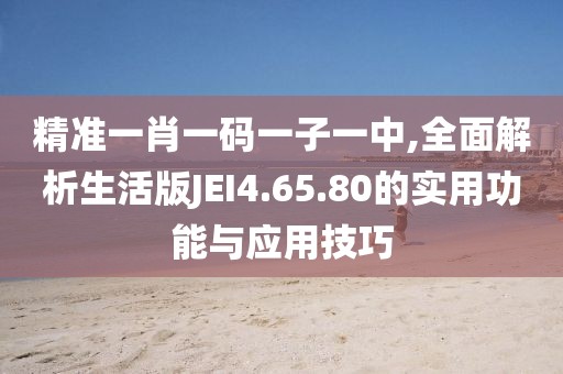 精准一肖一码一子一中,全面解析生活版JEI4.65.80的实用功能与应用技巧