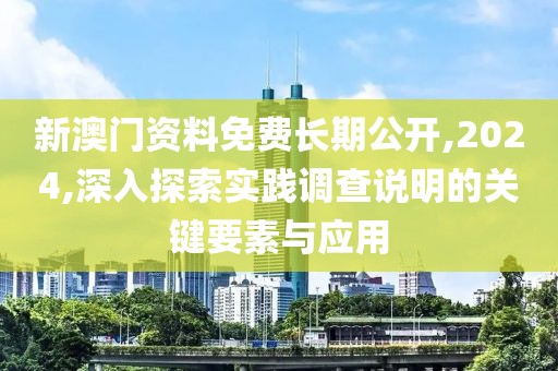 新澳门资料免费长期公开,2024,深入探索实践调查说明的关键要素与应用