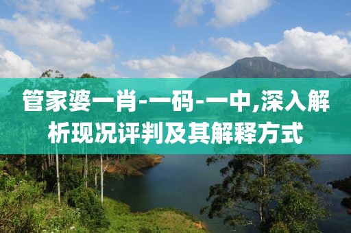管家婆一肖-一码-一中,深入解析现况评判及其解释方式