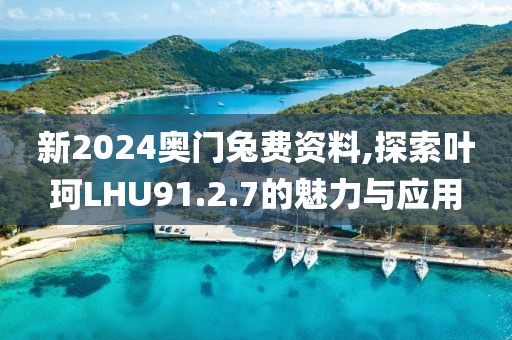 新2024奥门兔费资料,探索叶珂LHU91.2.7的魅力与应用