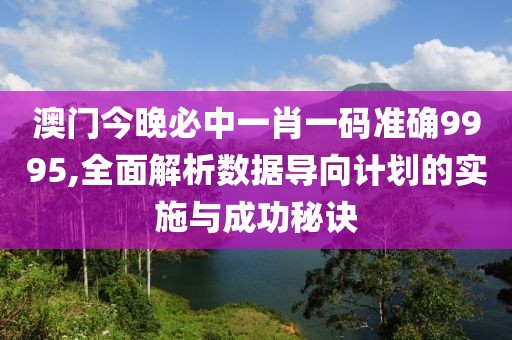 澳门今晚必中一肖一码准确9995,全面解析数据导向计划的实施与成功秘诀