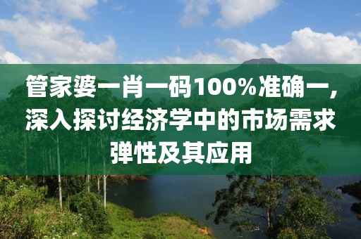 管家婆一肖一码100%准确一,深入探讨经济学中的市场需求弹性及其应用
