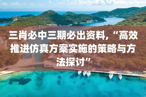 三肖必中三期必出资料,“高效推进仿真方案实施的策略与方法探讨”