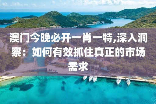澳门今晚必开一肖一特,深入洞察：如何有效抓住真正的市场需求