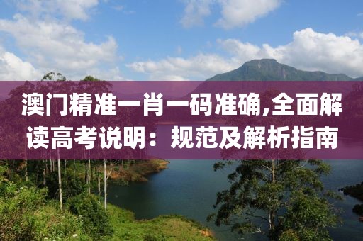 澳门精准一肖一码准确,全面解读高考说明：规范及解析指南
