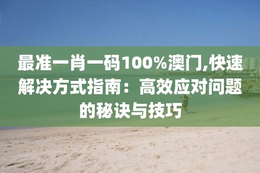 最准一肖一码100%澳门,快速解决方式指南：高效应对问题的秘诀与技巧