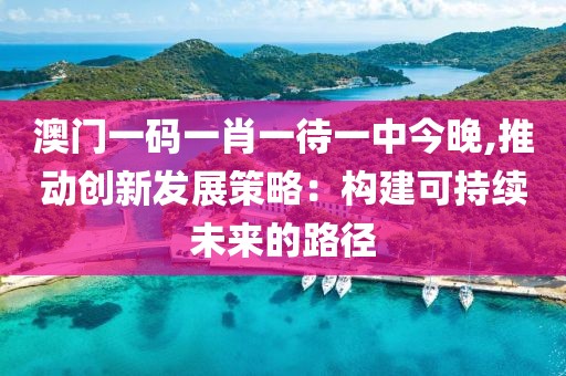 澳门一码一肖一待一中今晚,推动创新发展策略：构建可持续未来的路径
