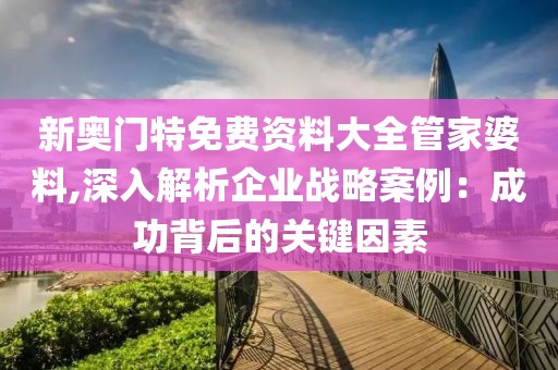 新奥门特免费资料大全管家婆料,深入解析企业战略案例：成功背后的关键因素