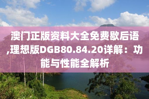 澳门正版资料大全免费歇后语,理想版DGB80.84.20详解：功能与性能全解析