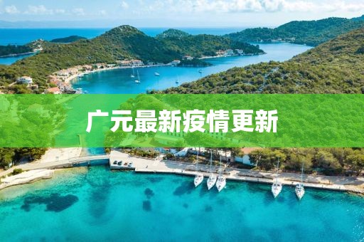 广元最新疫情更新