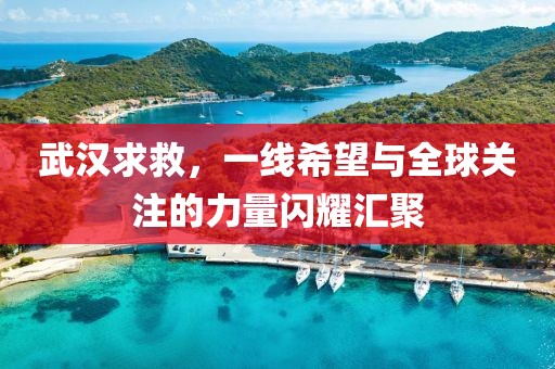 武汉求救，一线希望与全球关注的力量闪耀汇聚